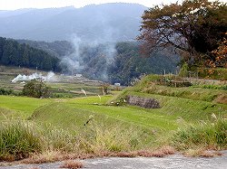 20041104 ohgi s028 (8).jpg